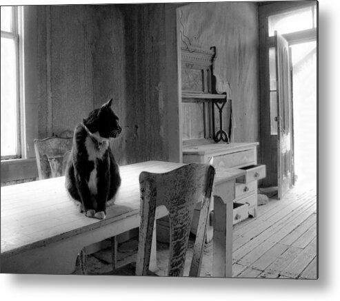 Bodie Metal Print featuring the photograph Bodie Cat by Neil Pankler