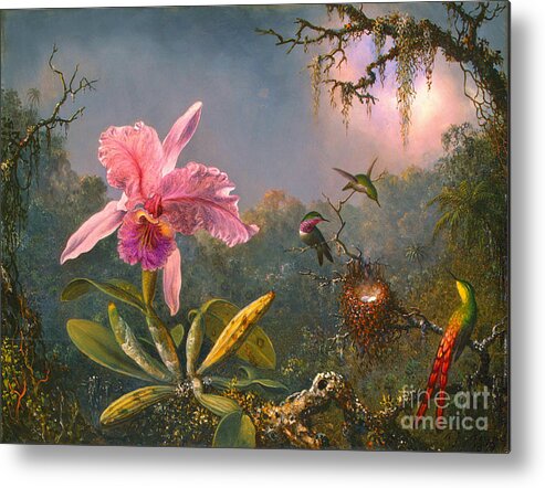 Brazilian Orchid Metal Print featuring the photograph Brazilian Orchid and Hummingbirds 1871 by Padre Art