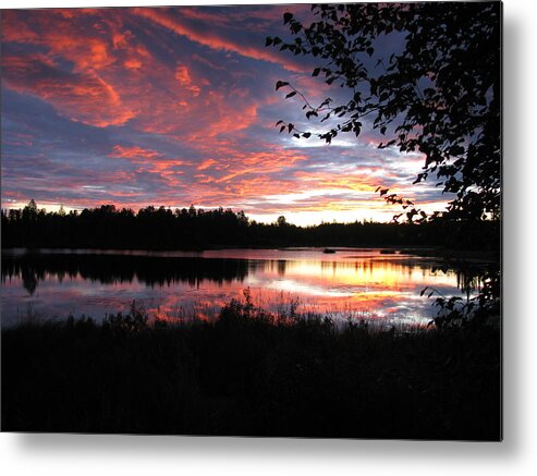 Sunset Metal Print featuring the photograph Brilliant Sunset framed by tree by Anthony Trillo