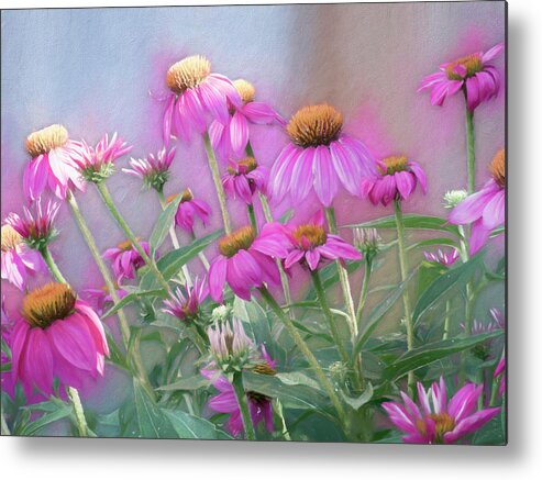 Garden Metal Print featuring the photograph Brilliant Wild Berry Cone Flower by Leslie Montgomery