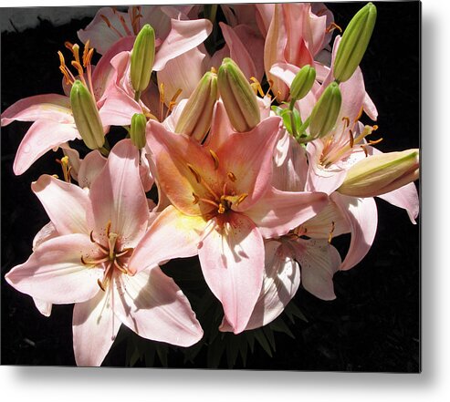 Flowers Metal Print featuring the photograph Budding Lilies by Mafalda Cento