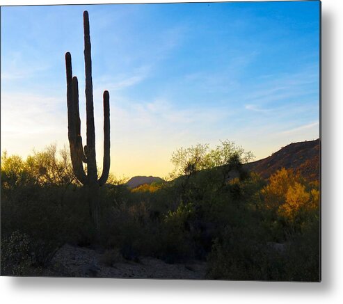 Arizona Metal Print featuring the photograph By the Vekol Wash by Judy Kennedy