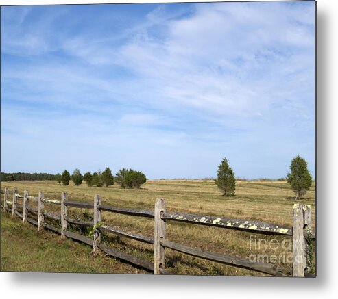 North Kingstown Metal Print featuring the photograph Calf PasturePoint by Lili Feinstein