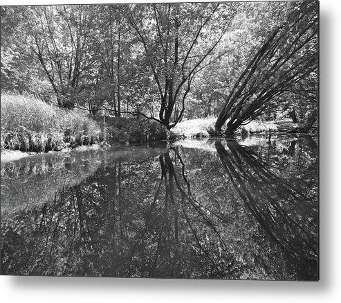 Nature Metal Print featuring the photograph Canton Canoe Trip 2016 34 by George Ramos