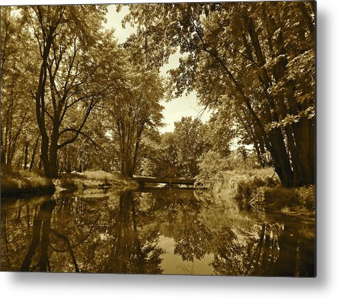 Nature Metal Print featuring the photograph Canton Canoe Trip 2016 42 by George Ramos