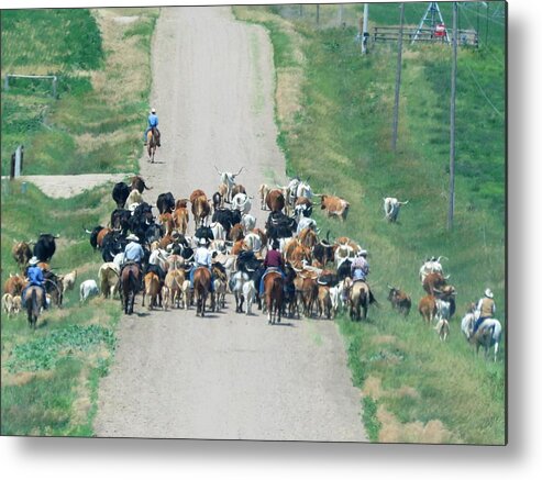 Cattle Drive Metal Print featuring the photograph Cattle Drive by Keith Stokes