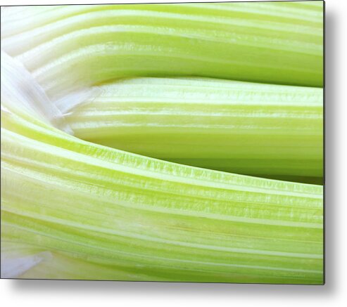 Celery Metal Print featuring the photograph Celery Abstract by Wim Lanclus