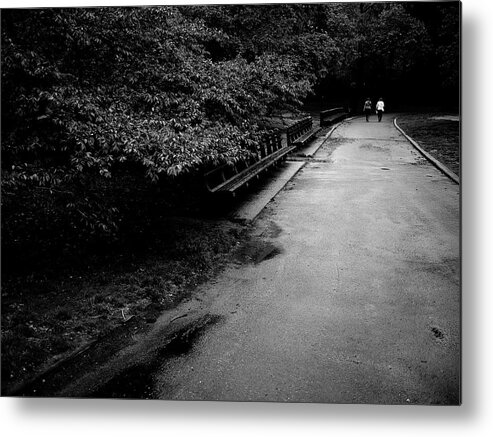 Central Park Metal Print featuring the photograph Central Park Path 6 by M G Whittingham
