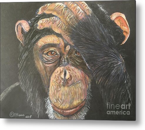 Monkey Metal Print featuring the painting Chimp by Heike Althaus