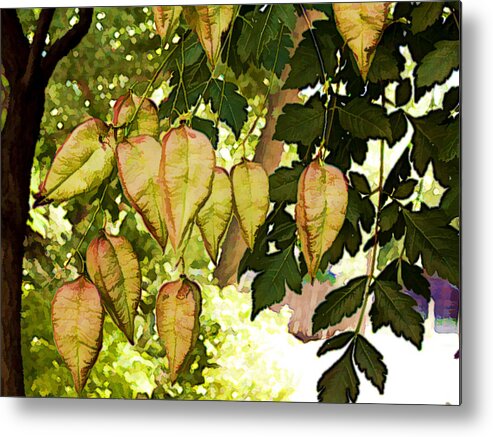 Tree Metal Print featuring the photograph Chinese Lanterns by Paul Cutright
