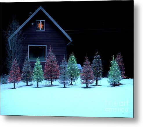 Christmas Trees Metal Print featuring the photograph Christmas in Petersburg by Laura Wong-Rose
