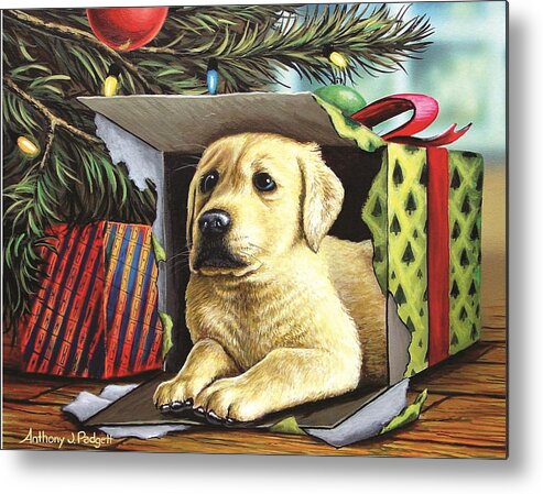 Yellow Lab Metal Print featuring the painting Christmas Pup by Anthony J Padgett
