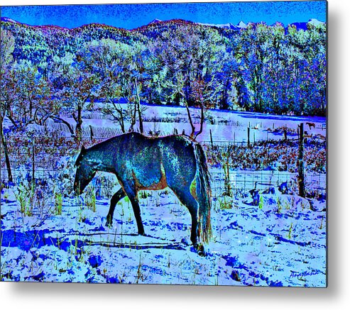 Horse Metal Print featuring the photograph Christmas Roan El Valle III by Anastasia Savage Ealy
