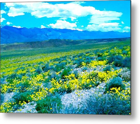 Nature Metal Print featuring the photograph Color 57 by Pamela Cooper