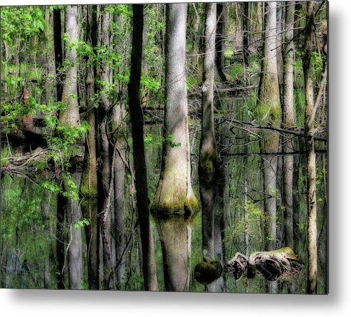 Reflections Metal Print featuring the photograph Congaree Swamp Series 5 of 5 by Cathy Harper