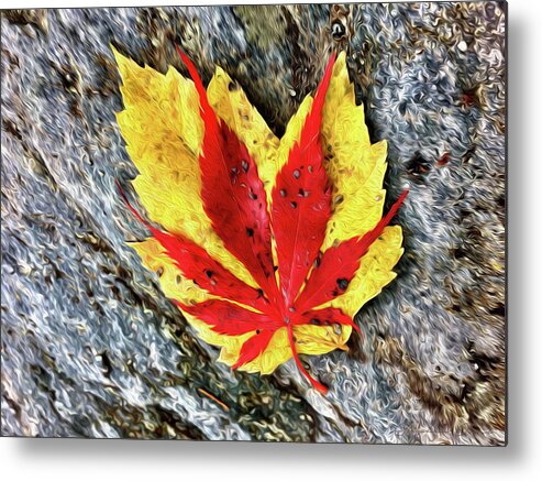 Fall Metal Print featuring the digital art Contrasting Leaves - Digital Oil by Birdly Canada