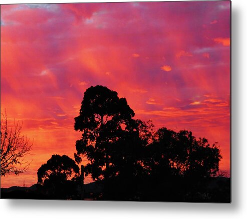 Sunrise Metal Print featuring the photograph Cool Sunrise by Mark Blauhoefer