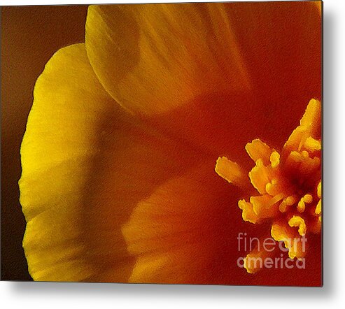 Poppy Metal Print featuring the photograph Copa de Oro - vibrant by Linda Shafer
