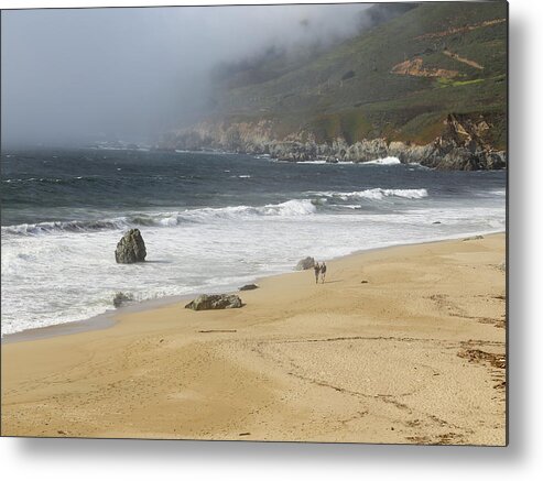 Holiday Metal Print featuring the photograph Couple walking on a beach by Alberto Zanoni