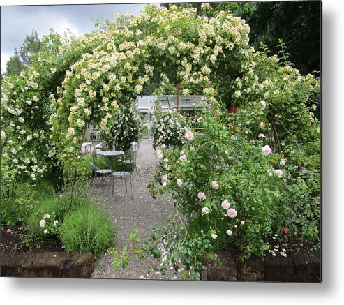 Outdoor Environments Metal Print featuring the photograph Cream-colored roses with your coffee by Rosita Larsson