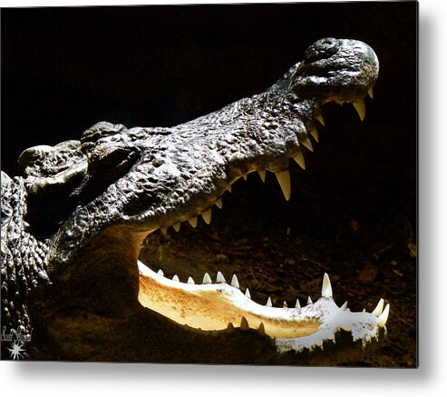 Reptile Metal Print featuring the photograph Crocodile by Scott Hovind