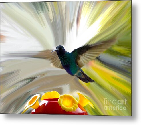 Al Bourassa Metal Print featuring the photograph Cuenca Hummingbird Series 1 by Al Bourassa