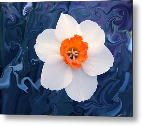 Flower Metal Print featuring the photograph Daffodill in Blue by Jim Darnall