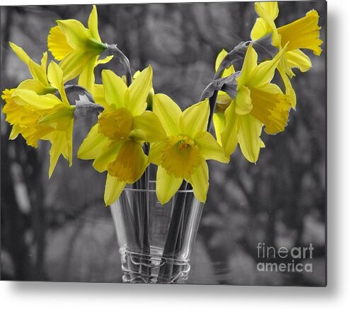 Daffodils Metal Print featuring the photograph Daffodils in a Vase by Joan-Violet Stretch