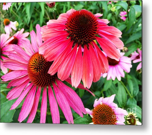 Daisy Metal Print featuring the photograph Deep Down We Are All the Same by Beth Saffer