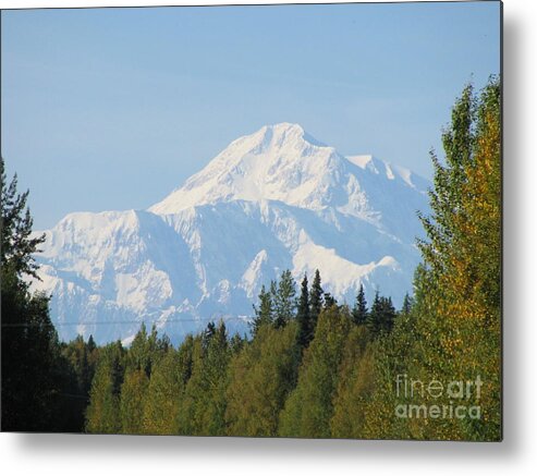 Denali Metal Print featuring the photograph Denali framed by trees by Anthony Trillo