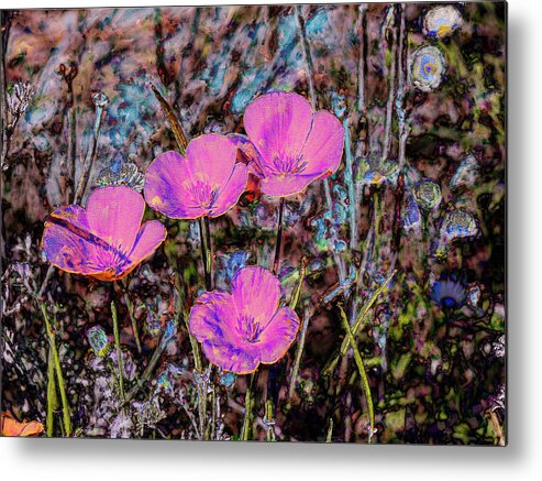 Dessert Flower Abstract Metal Print featuring the photograph Desert Flowers Abstract by Penny Lisowski