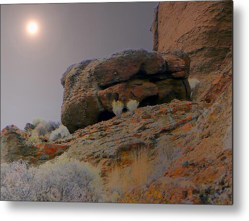 Rock Metal Print featuring the photograph Desert Rocks by Lori Seaman