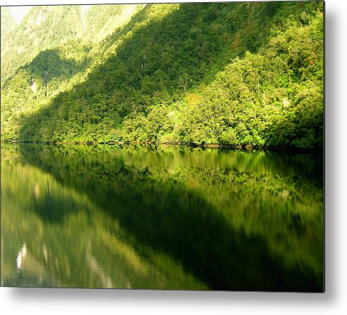 Doubtful Sound Metal Print featuring the photograph Doubtful Sound, New Zealand No. 4 by Sandy Taylor