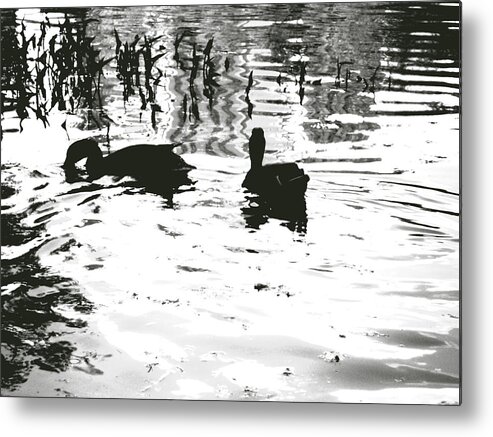 Duck Metal Print featuring the photograph Ducks In Piedmont Park by Cat Rondeau