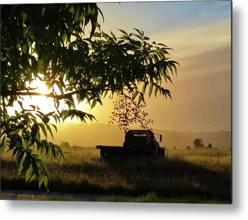 Sunrise Metal Print featuring the photograph Early Morning in Watsonville by Lora Lee Chapman