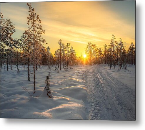 Landscape Metal Print featuring the photograph Early Morning sun by Rose-Maries Pictures