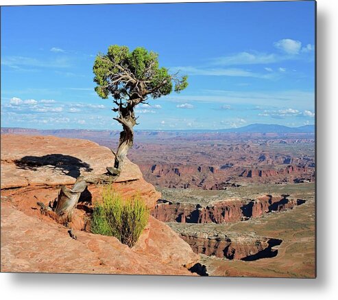 Canyonlands Metal Print featuring the photograph Edge of the Cliff by Connor Beekman