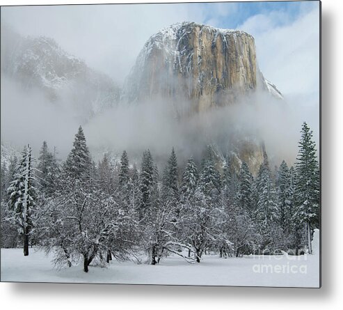 Landscape Metal Print featuring the photograph El Capitan Majesty - Yosemite NP by Sandra Bronstein