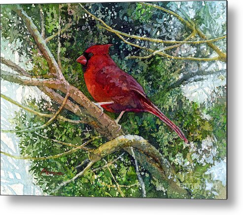 Cardinal Metal Print featuring the painting Elegance in Red by Hailey E Herrera