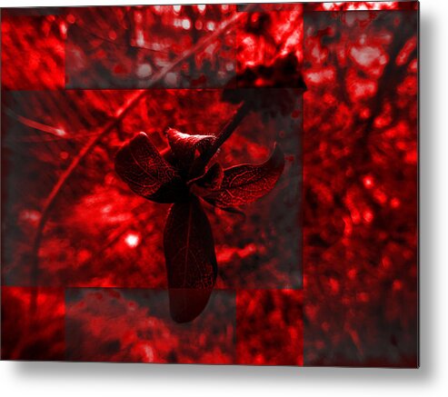 Photos' Landscapes' Abstract' Metal Print featuring the photograph Elements 102 by The Lovelock experience