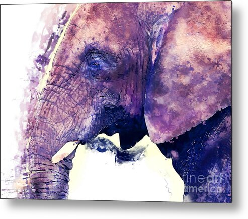 Elephant Metal Print featuring the painting Elephant watercolor painting by Justyna Jaszke JBJart