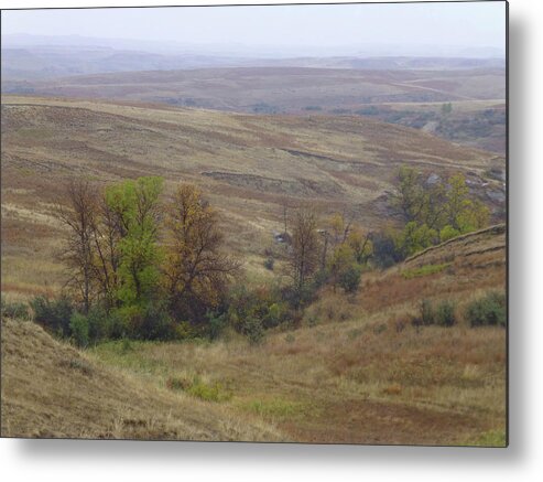 North Dakota Metal Print featuring the photograph Enchantment of the September Grasslands by Cris Fulton