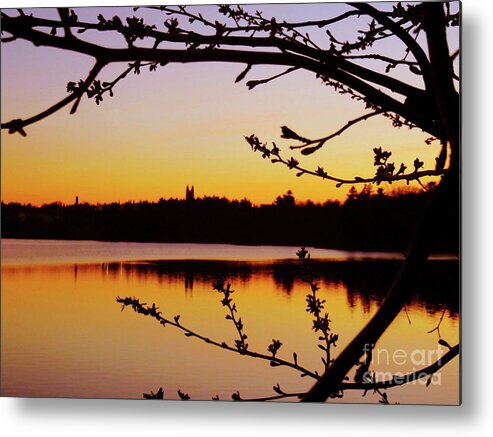 Evening Metal Print featuring the photograph Evening Calm by Beth Myer Photography