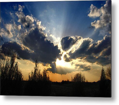 Landscape Metal Print featuring the photograph Evening Sky by Steve Karol