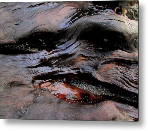 Redwood Metal Print featuring the photograph Faces in the Wood #4 by Larry Bacon