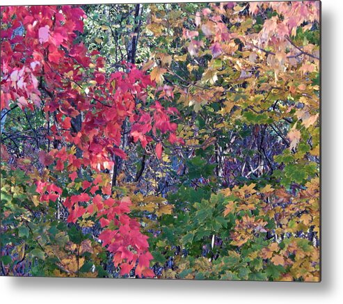 Landscape Metal Print featuring the photograph Fall 2016 3 by George Ramos