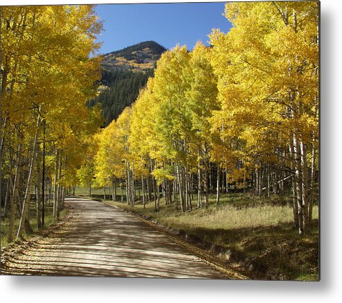 Fall Colors Colorado Metal Print featuring the photograph Fall at Stunner Pass Colorado by Bill Hyde