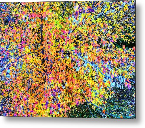 Leawood Metal Print featuring the photograph Fall Impressionism by Michael Oceanofwisdom Bidwell