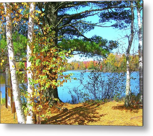 Fall Metal Print featuring the photograph Fall in Phillips WI by Randy Rosenberger