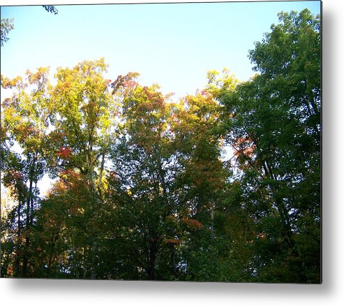 Trees Metal Print featuring the photograph Fall Is In The Air by Jackie Mueller-Jones